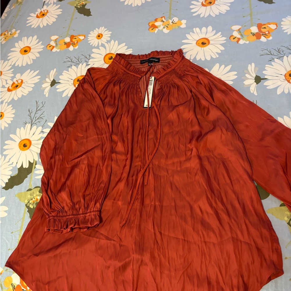 Catherine Malandrino Relaxed Mandarin Collar Blouse in Brown and Orange